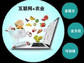 農產品觸網 互聯網時代，誰是下一個超級代言人？